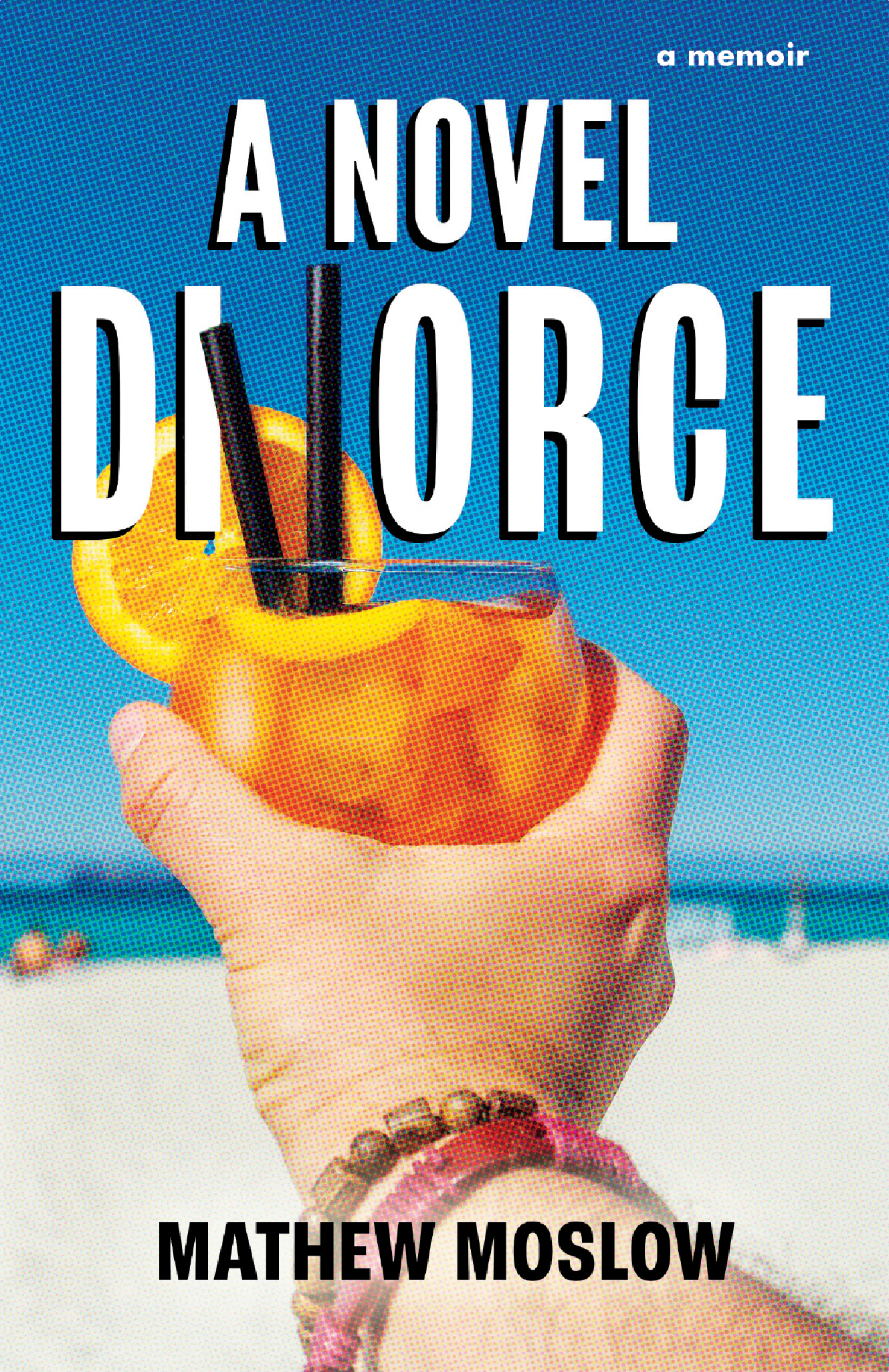 A Novel Divorce Book Cover